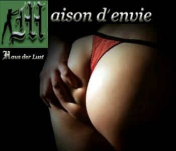 Banner vom Bordell Maison d envie in Berlin Prenzlauer Berg