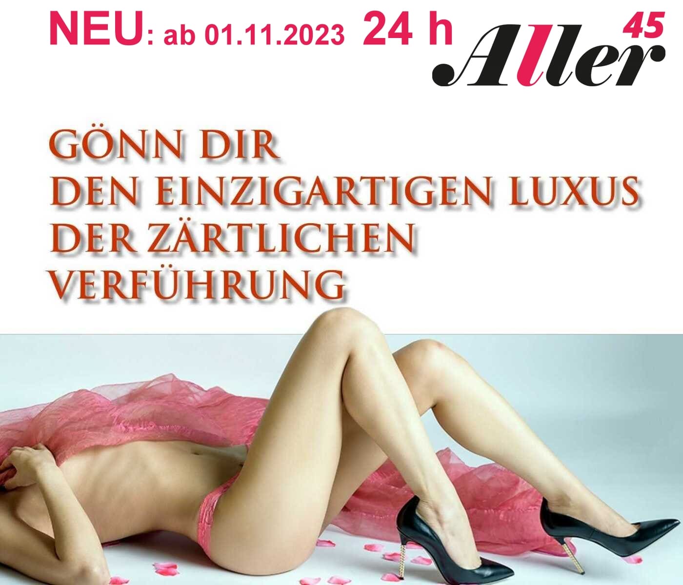 Flyer des 24 Stunden Bordell Aller45