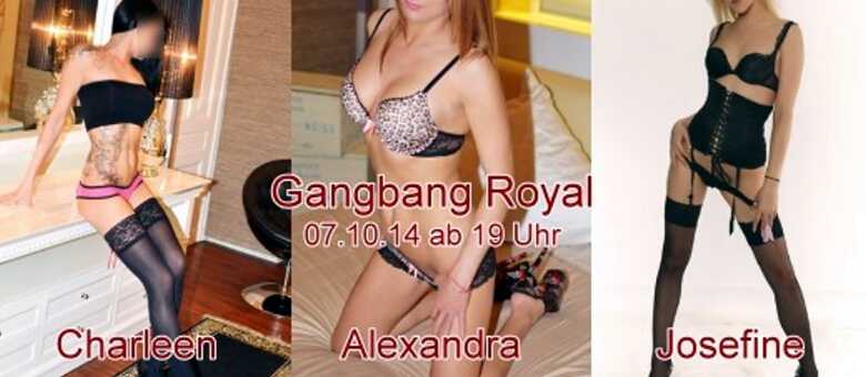 Flyer Sexparty im Edelbordell Royal